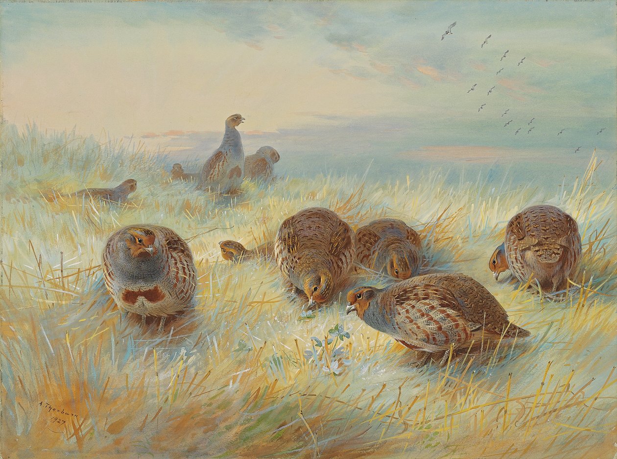 Fagyos hajnal alkotó: Archibald Thorburn