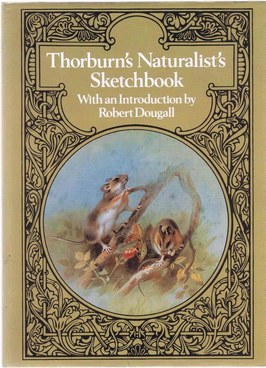 Elülső porburkoló design, kocsma. a Book Club Associates által alkotó: Archibald Thorburn
