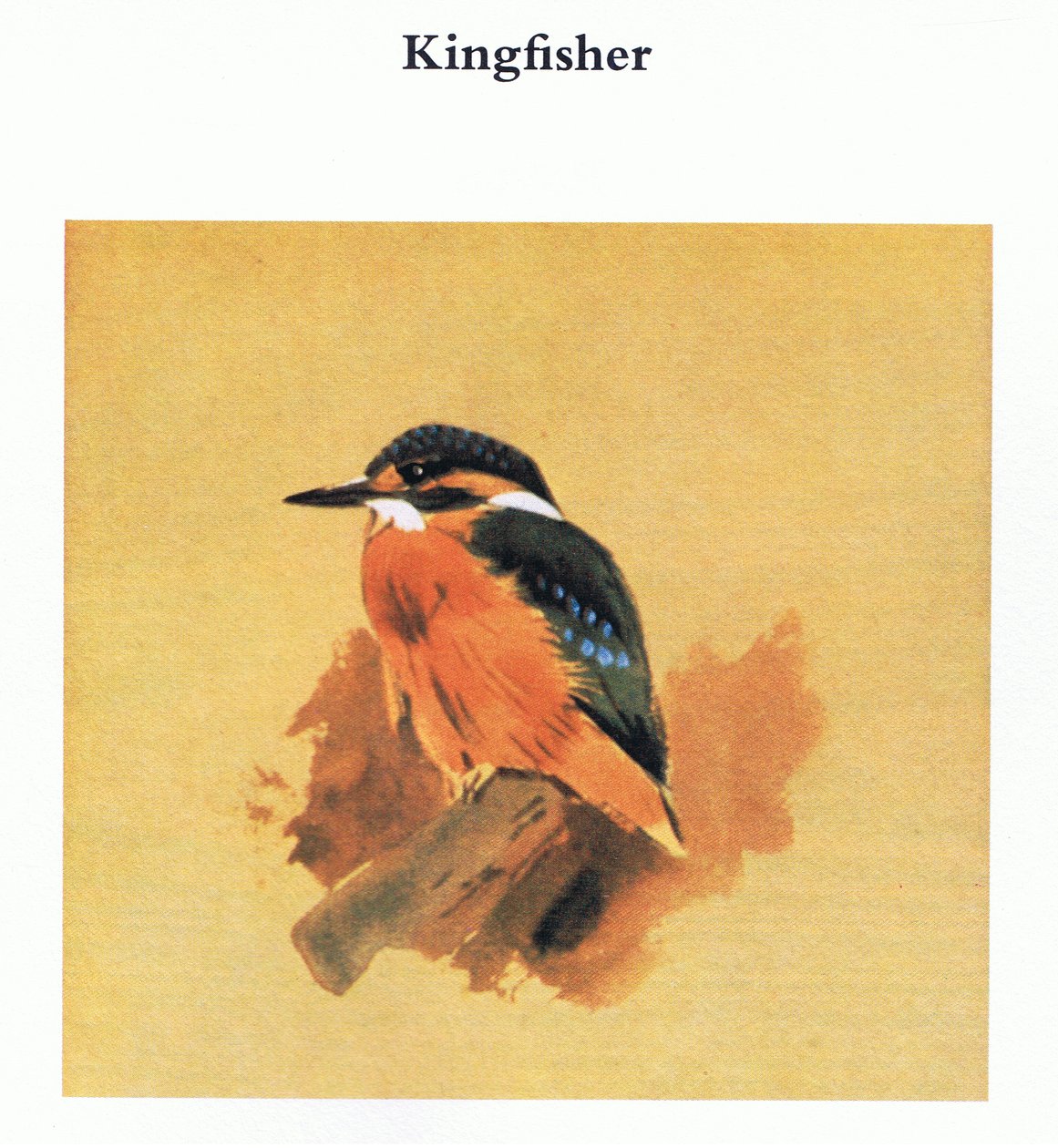 Kingfisher, kocsma. Írta: Book Club Associates, 1972 alkotó: Archibald Thorburn