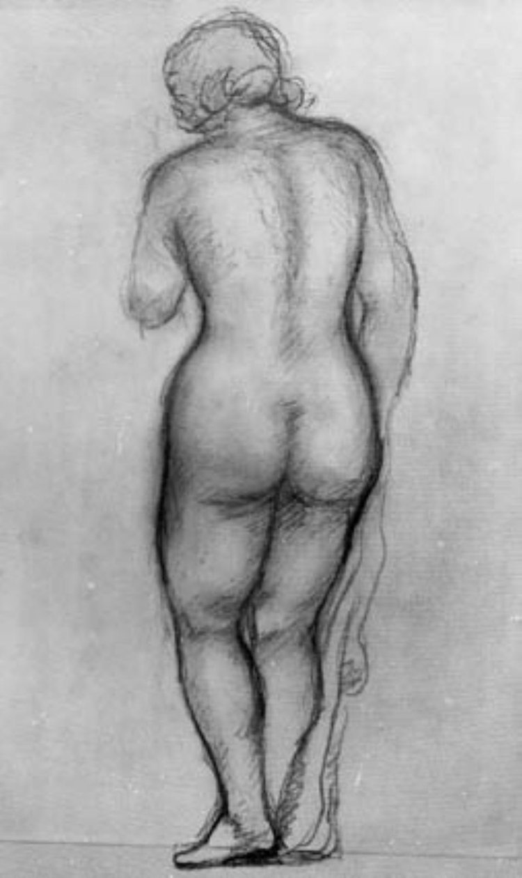 Álló női modell, hátulról nézve alkotó: Aristide Maillol