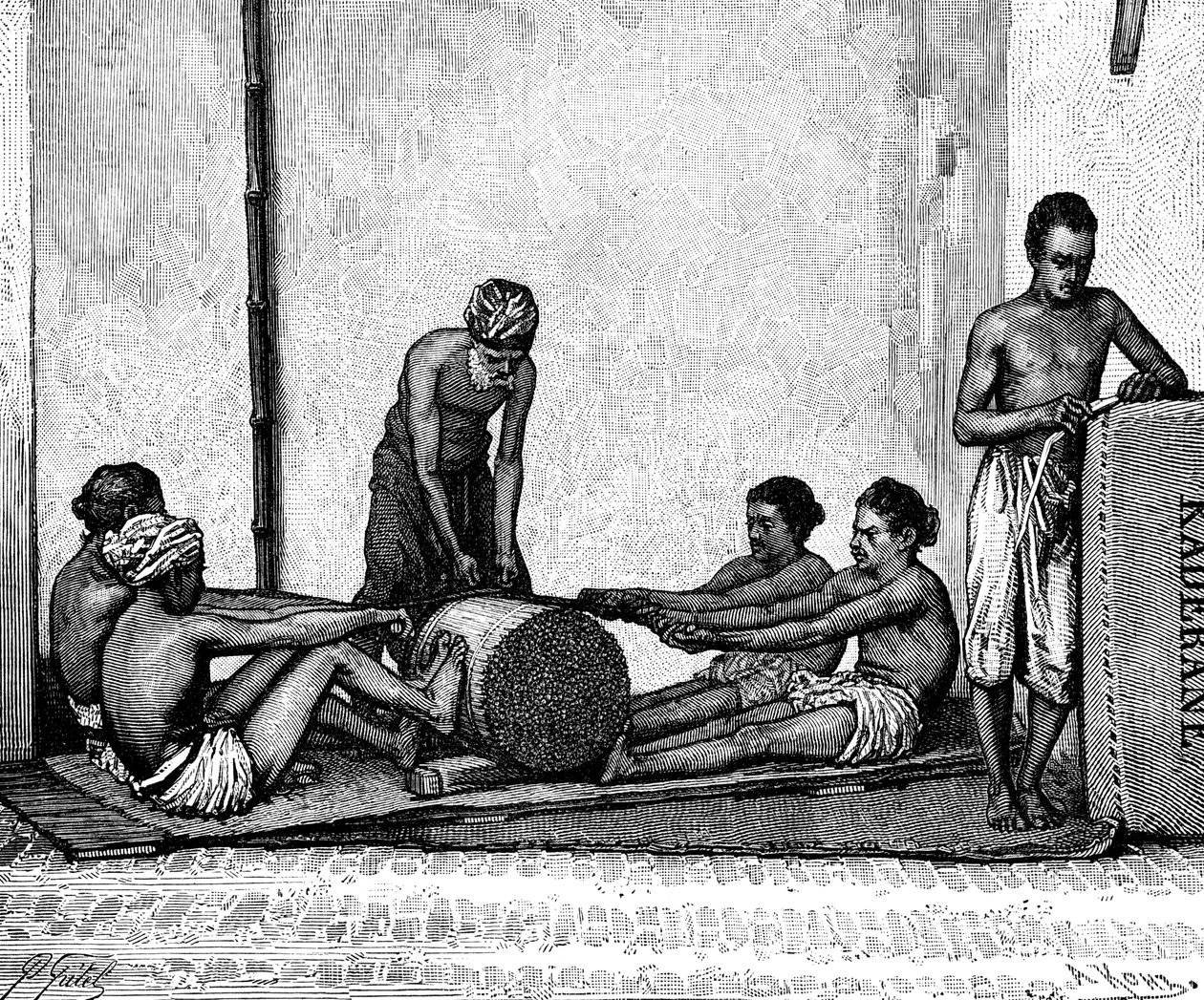 Fahéjas csomagolás, India, 1895. alkotó: Armand Kohl