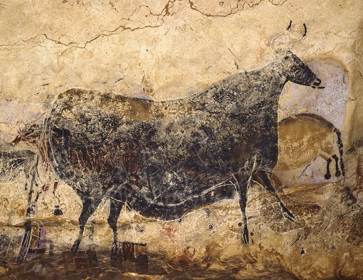 Fekete Tehén. Lascaux barlangfestménye, kb. ie 16.000-15.000. alkotó: Art of the Upper Paleolithic.