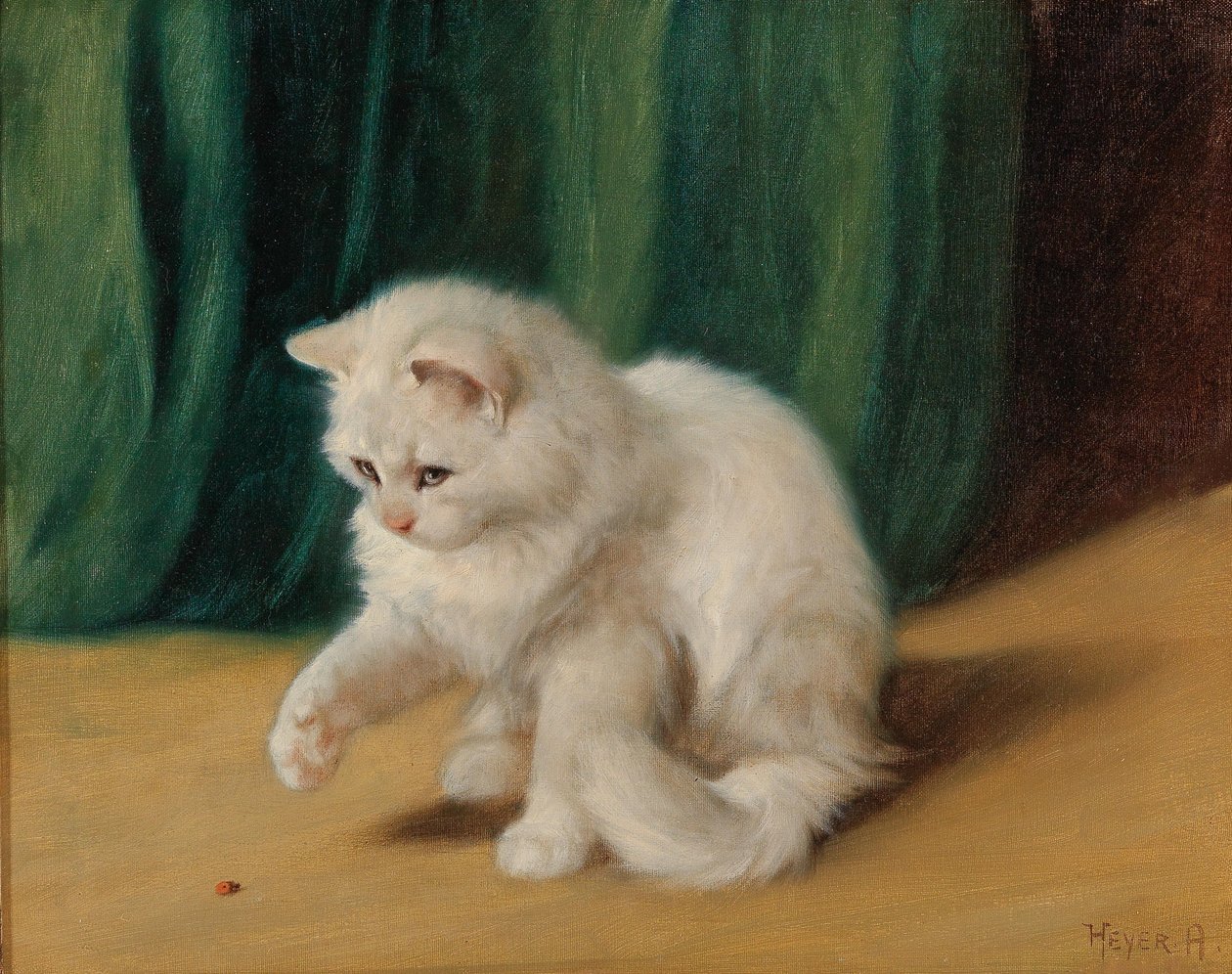 Macska katicabogárral alkotó: Arthur Heyer