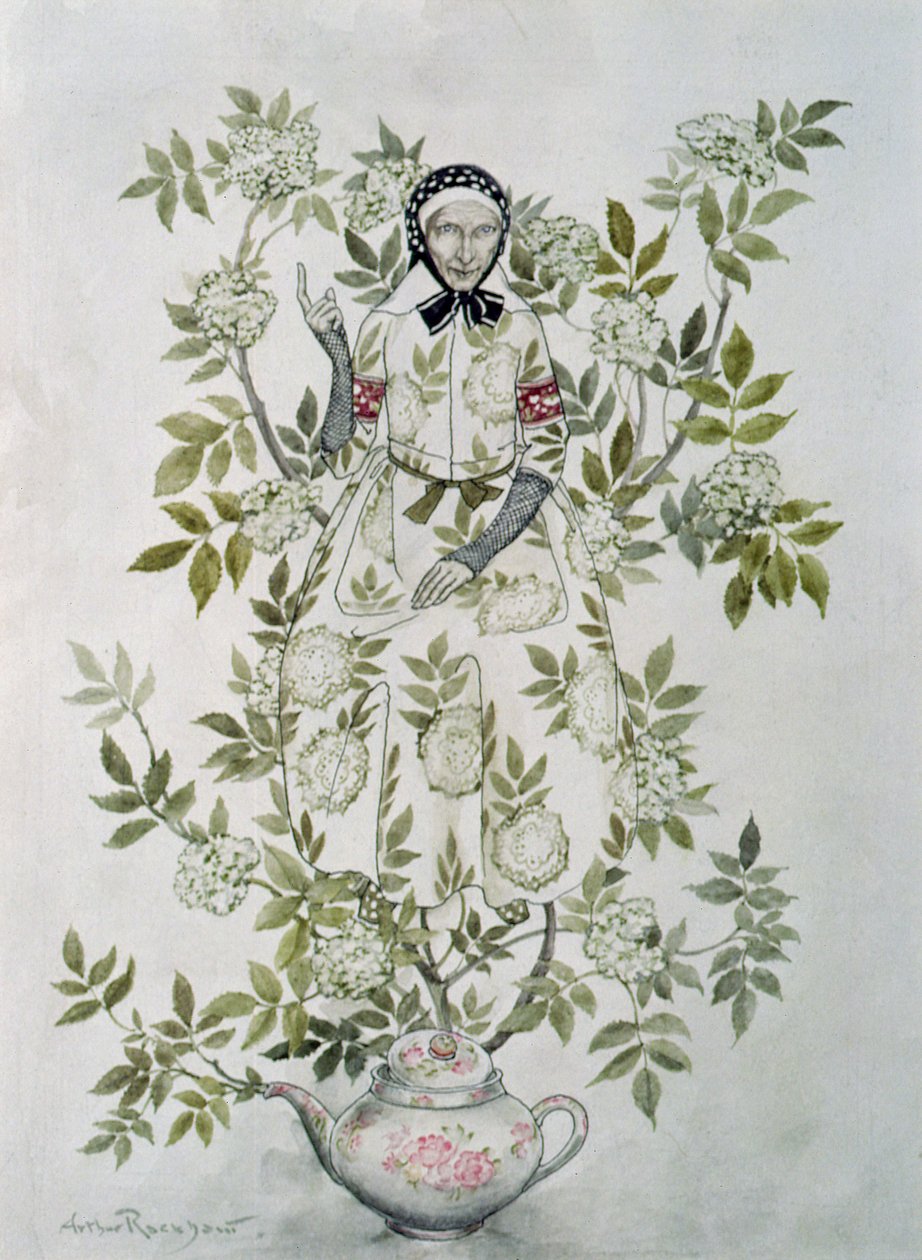 „Egy fa közepén egy kedvesen kinéző öregasszony ült”, illusztráció Hans Christian Andersen (1805-75) 1932-ben megjelent „Tündérmeséiből” „Elder Tree Mother” alkotó: Arthur Rackham