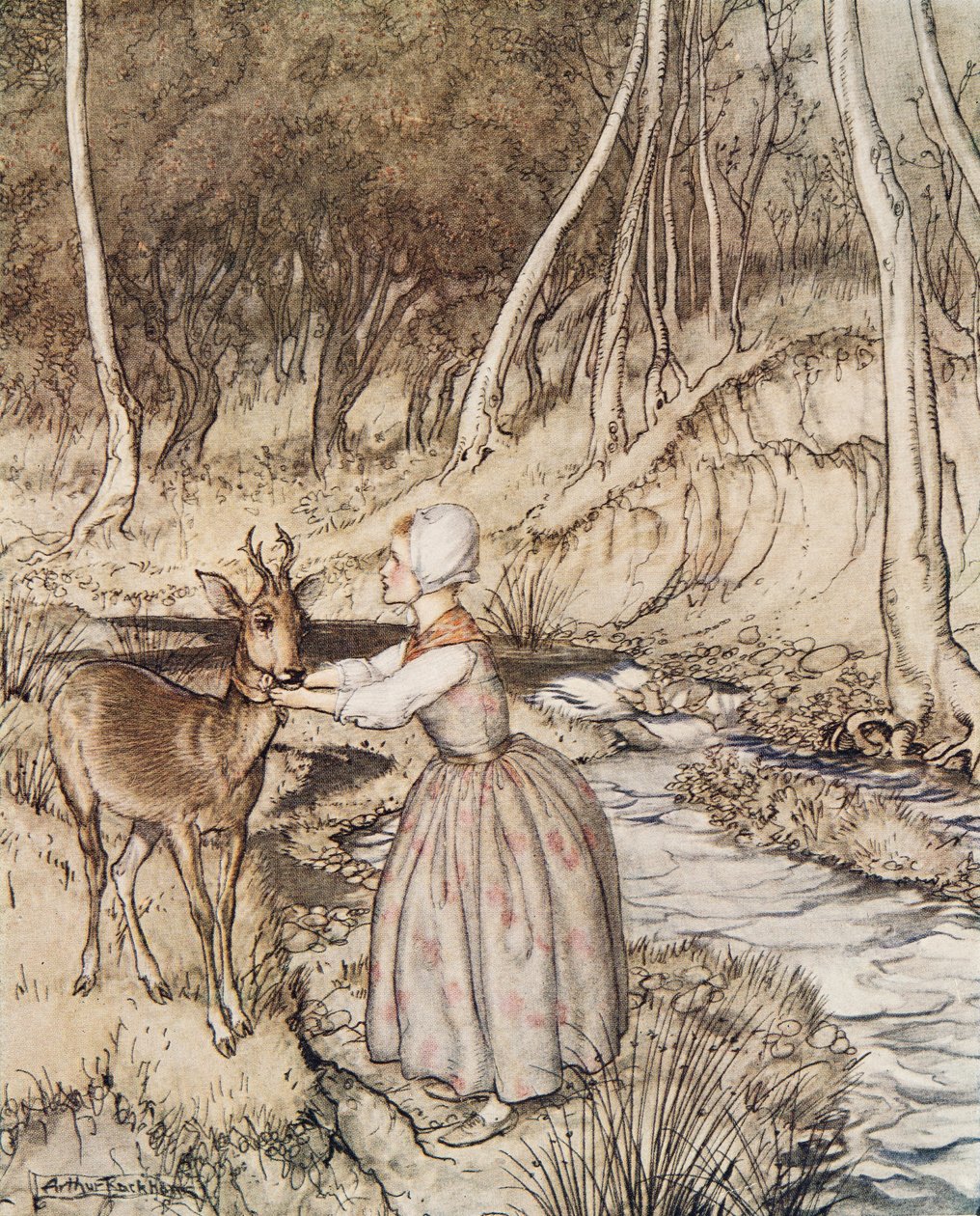 Little Brother and Little Sister, a Little Brother & Little Sister és a Grimm testvérek egyéb meséiből, pub.1917 alkotó: Arthur Rackham