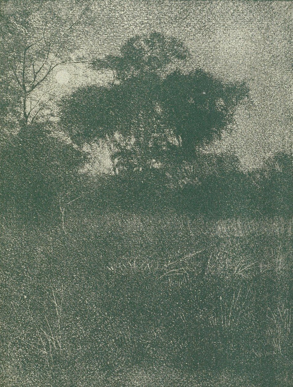 Holdfény alkotó: Arthur E. Becher