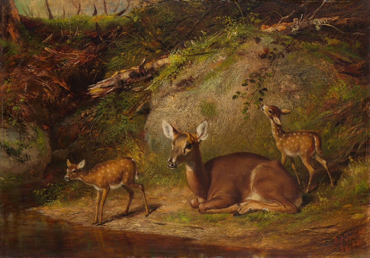 Doe and Two Fawns, 1882. alkotó: Arthur Fitzwilliam Tait