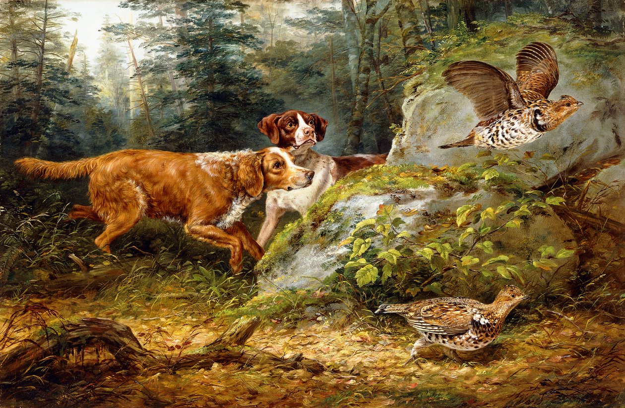 Kipirult: Ruffed Grouse Shooting, 1857 alkotó: Arthur Fitzwilliam Tait