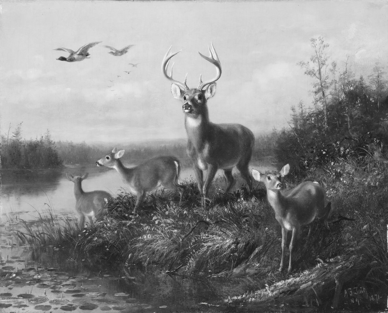 On the Qui Vive, Buck and Three Does, 1871. alkotó: Arthur Fitzwilliam Tait
