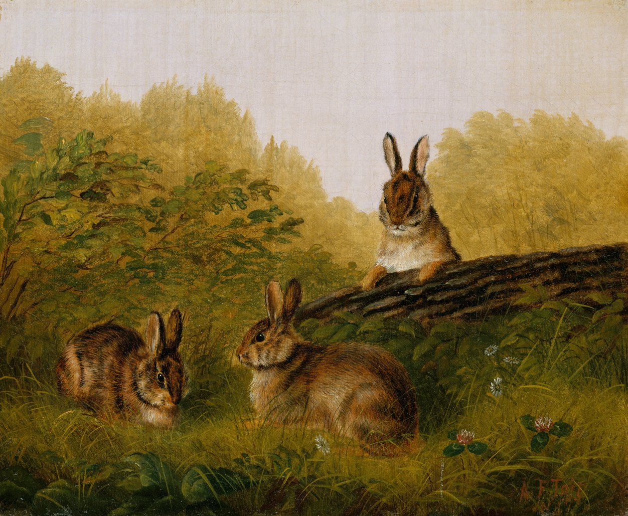 Nyulak egy rönkön, 1897. alkotó: Arthur Fitzwilliam Tait
