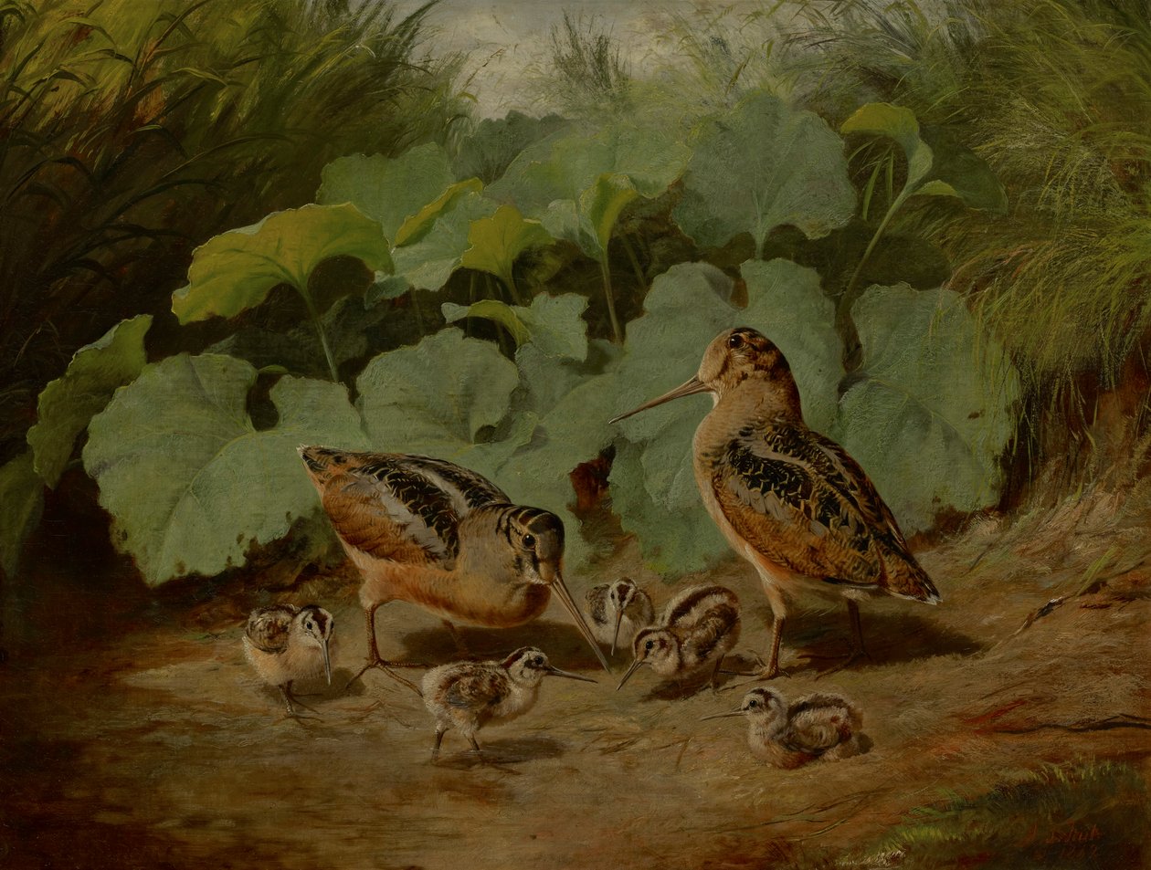 Woodcock és Young alkotó: Arthur Fitzwilliam Tait