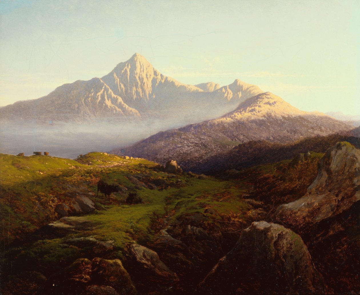 Felvidéki szarvasmarha hegyvidéki tájon (olaj, vászon) alkotó: Arthur Gilbert