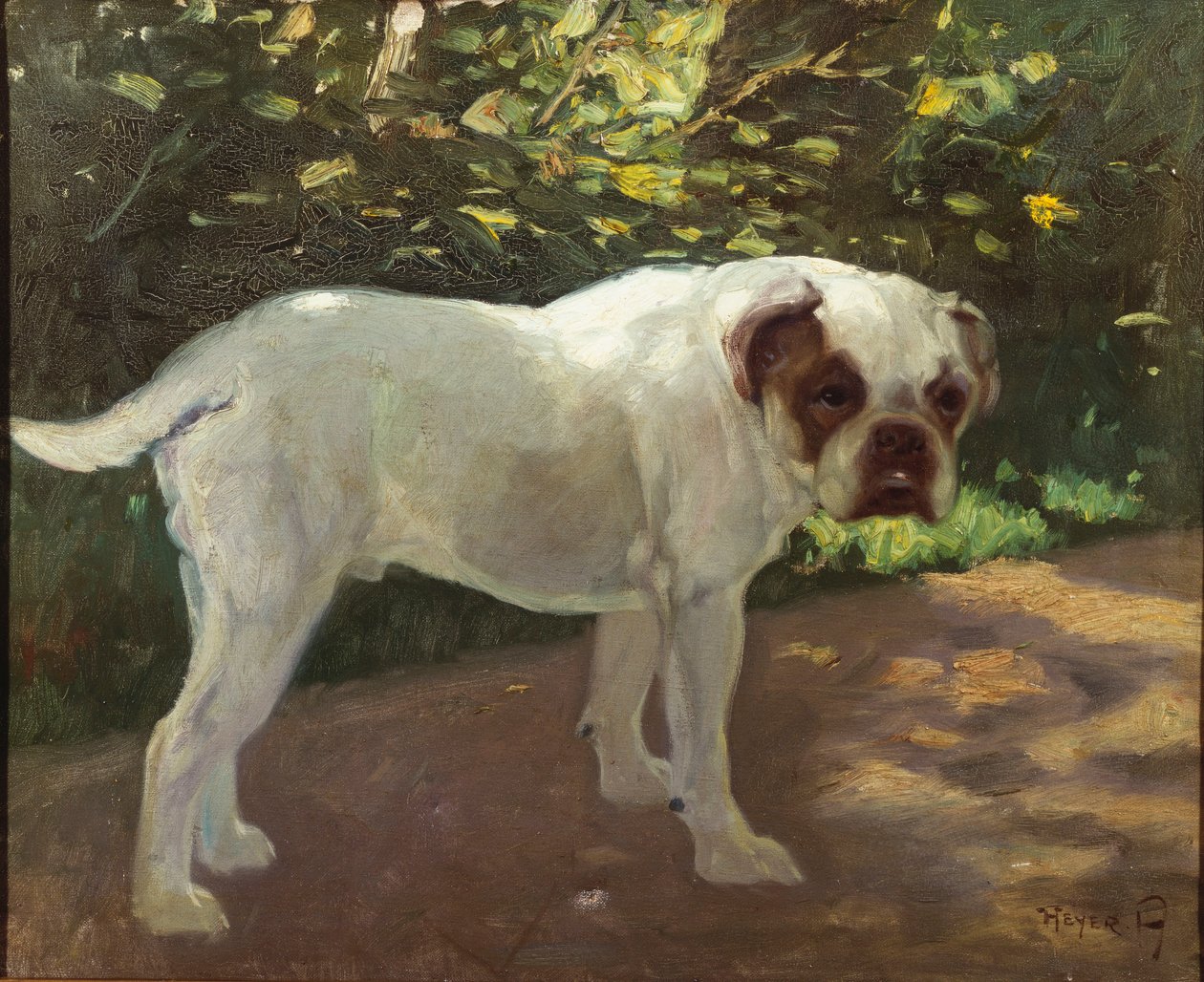Bulldog a kerti ösvényen (olaj, vászon) alkotó: Arthur Heyer