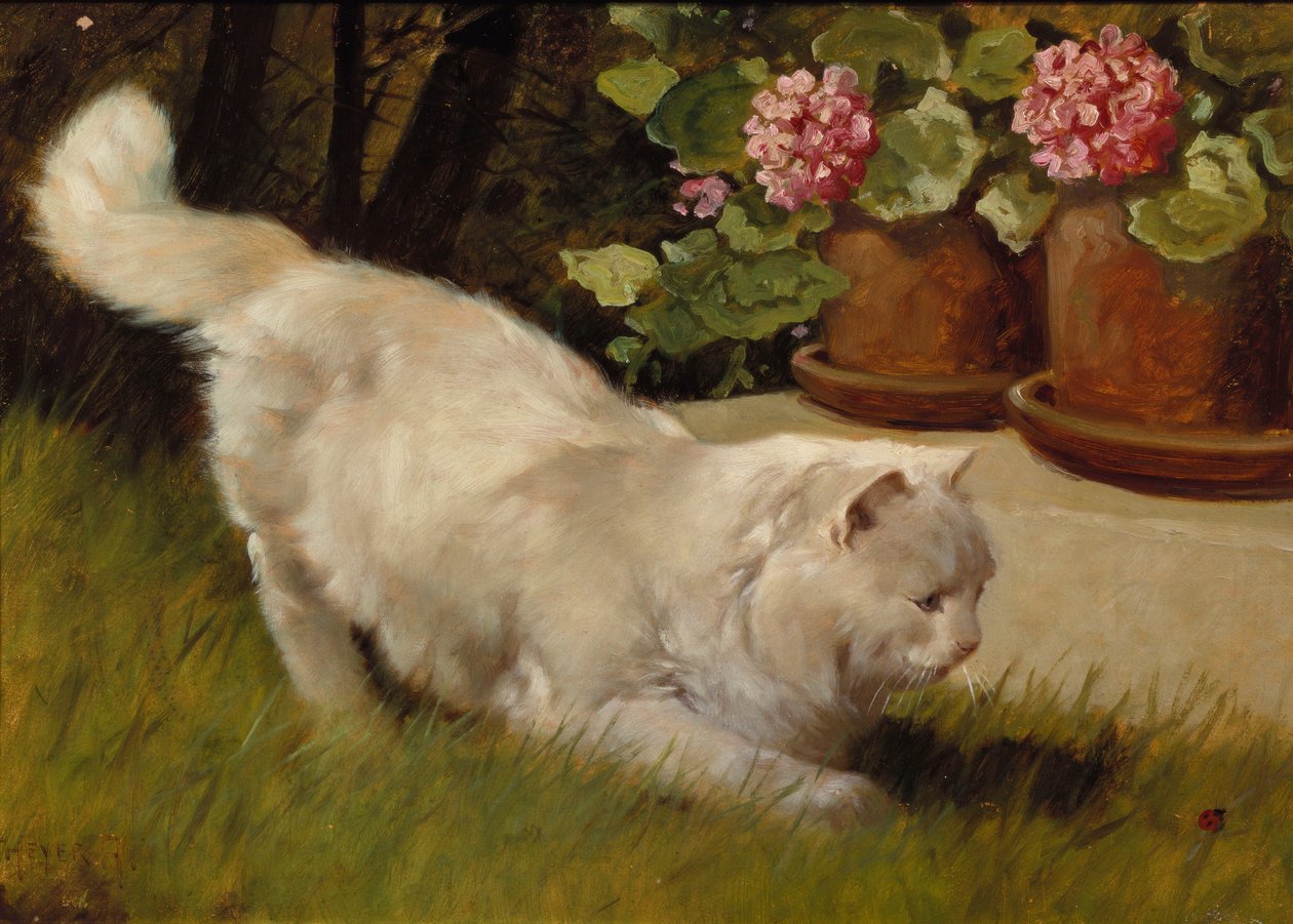 Fehér perzsamacska katicával (olaj a fedélzeten) alkotó: Arthur Heyer