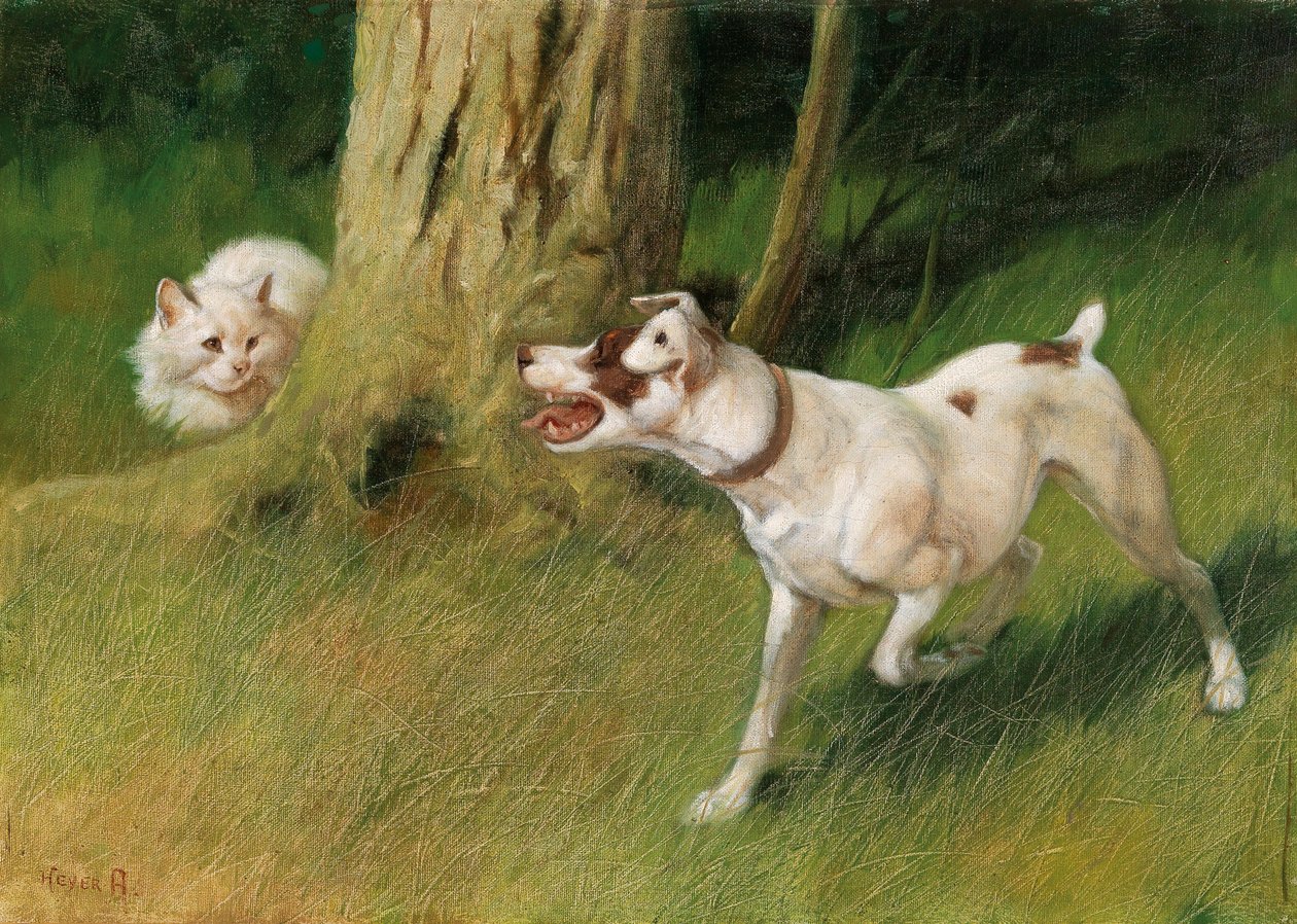 Kutya és macska alkotó: Arthur Heyer