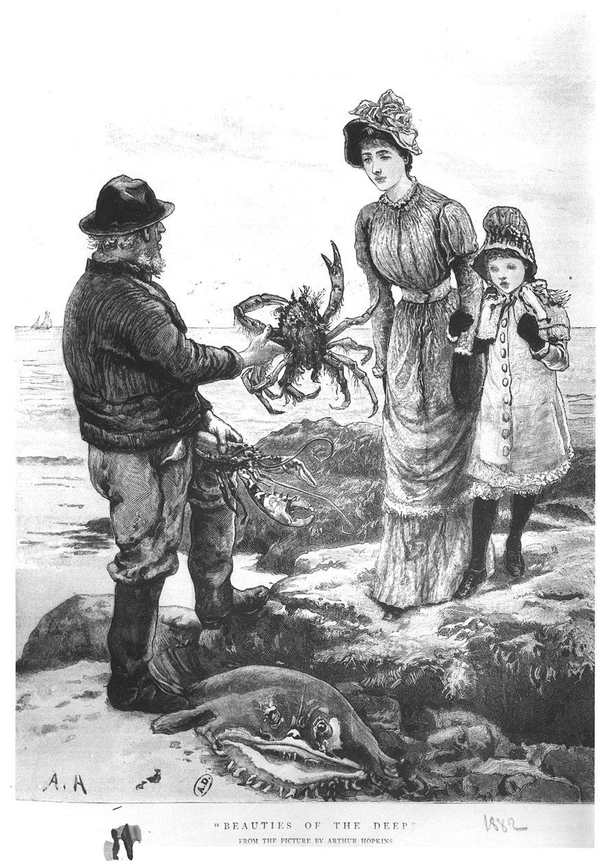 "A mélység szépségei", 1882 alkotó: Arthur Hopkins