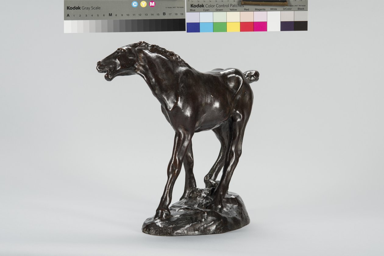 Colt (bronz) alkotó: Arthur Putnam