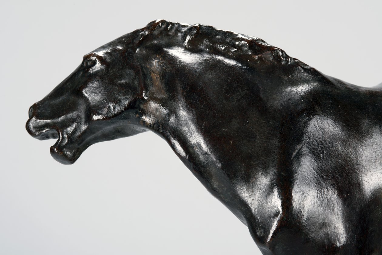 Colt (bronz) alkotó: Arthur Putnam