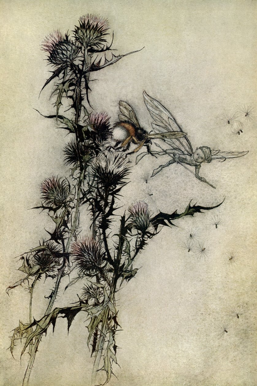 Szentivánéji álom alkotó: Arthur Rackham