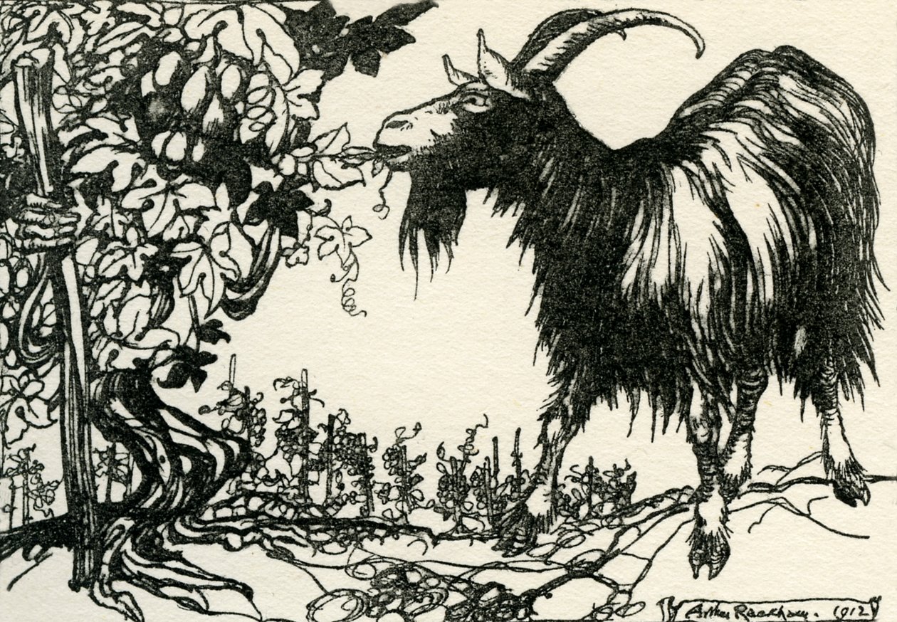 Ezópus meséi alkotó: Arthur Rackham