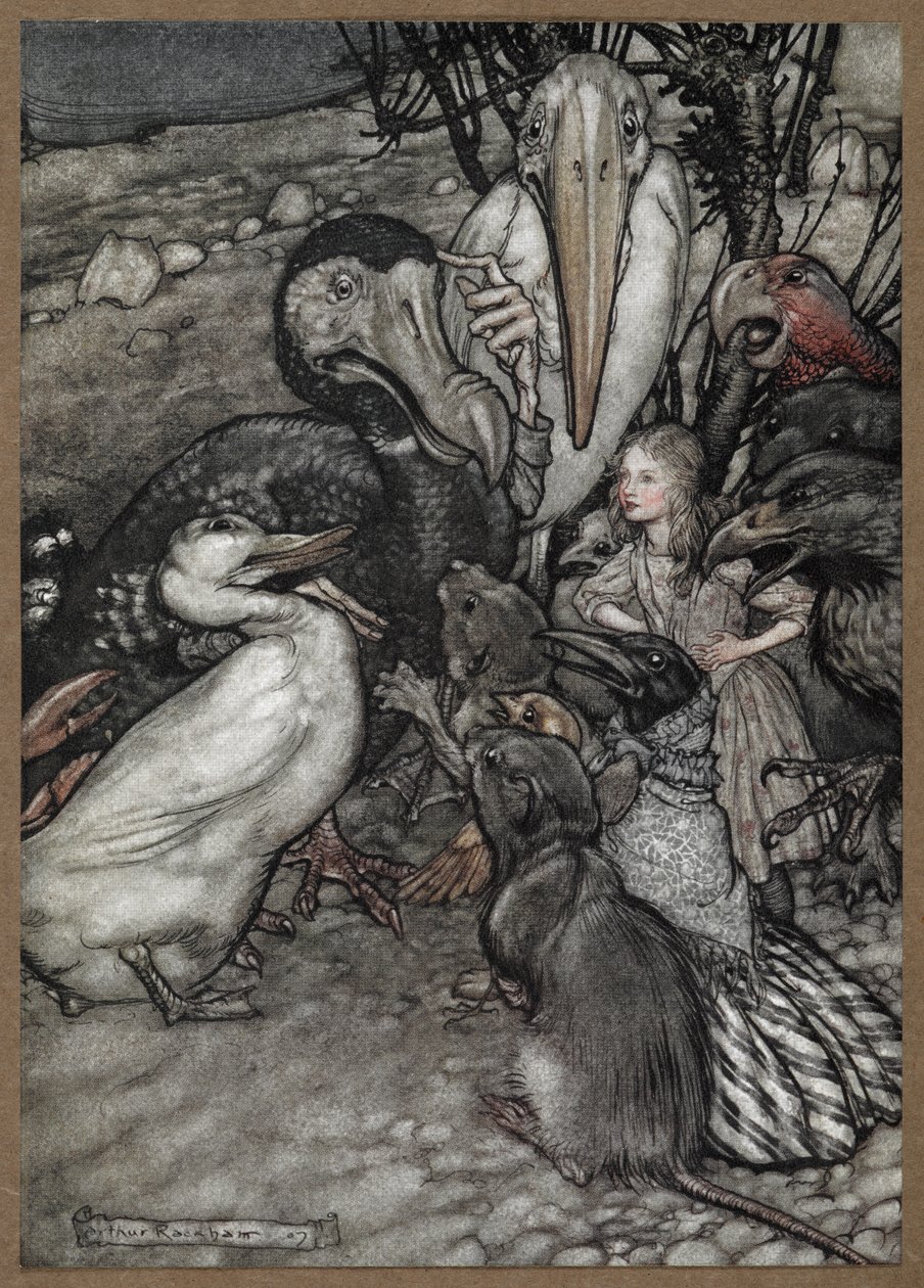 Alice és az állatok a Caucus Race után, köztük egy dodó, egy kacsa, egy patkány, egy varjú és egy papagáj. alkotó: Arthur Rackham