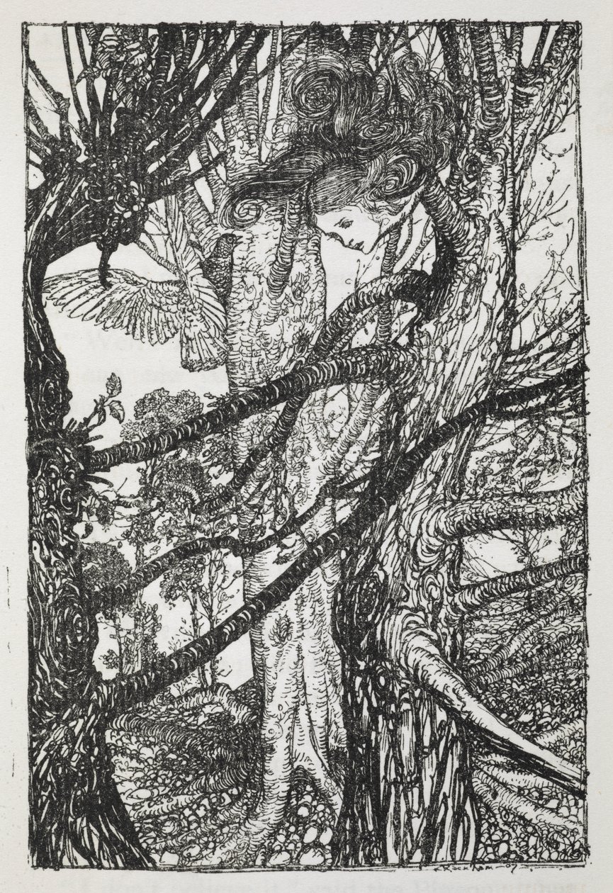 Alice, mint egy galambhoz beszélő kígyó alkotó: Arthur Rackham