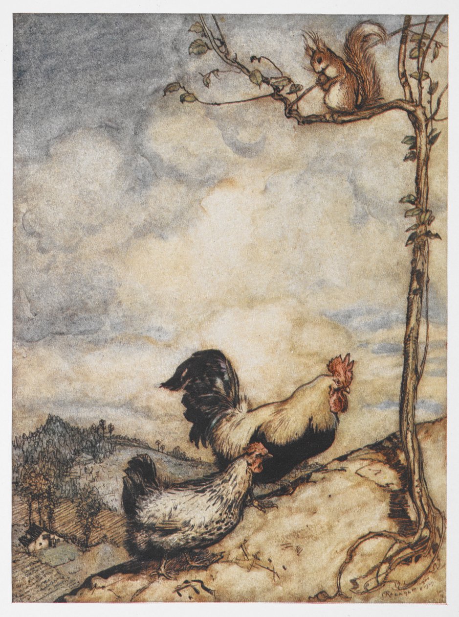 Egy tyúk, kakas és mókus illusztrációja a Chanticleer és Partlet kalandjaiból. alkotó: Arthur Rackham