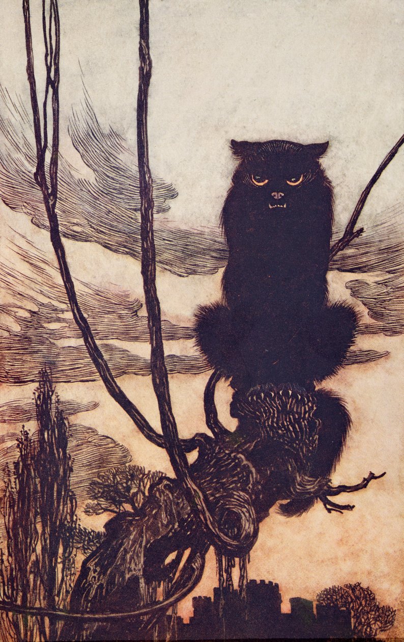 Nappal macskává varázsolta magát, a Grimm testvérek tündérmeséiből, kocsmából. 1909 alkotó: Arthur Rackham