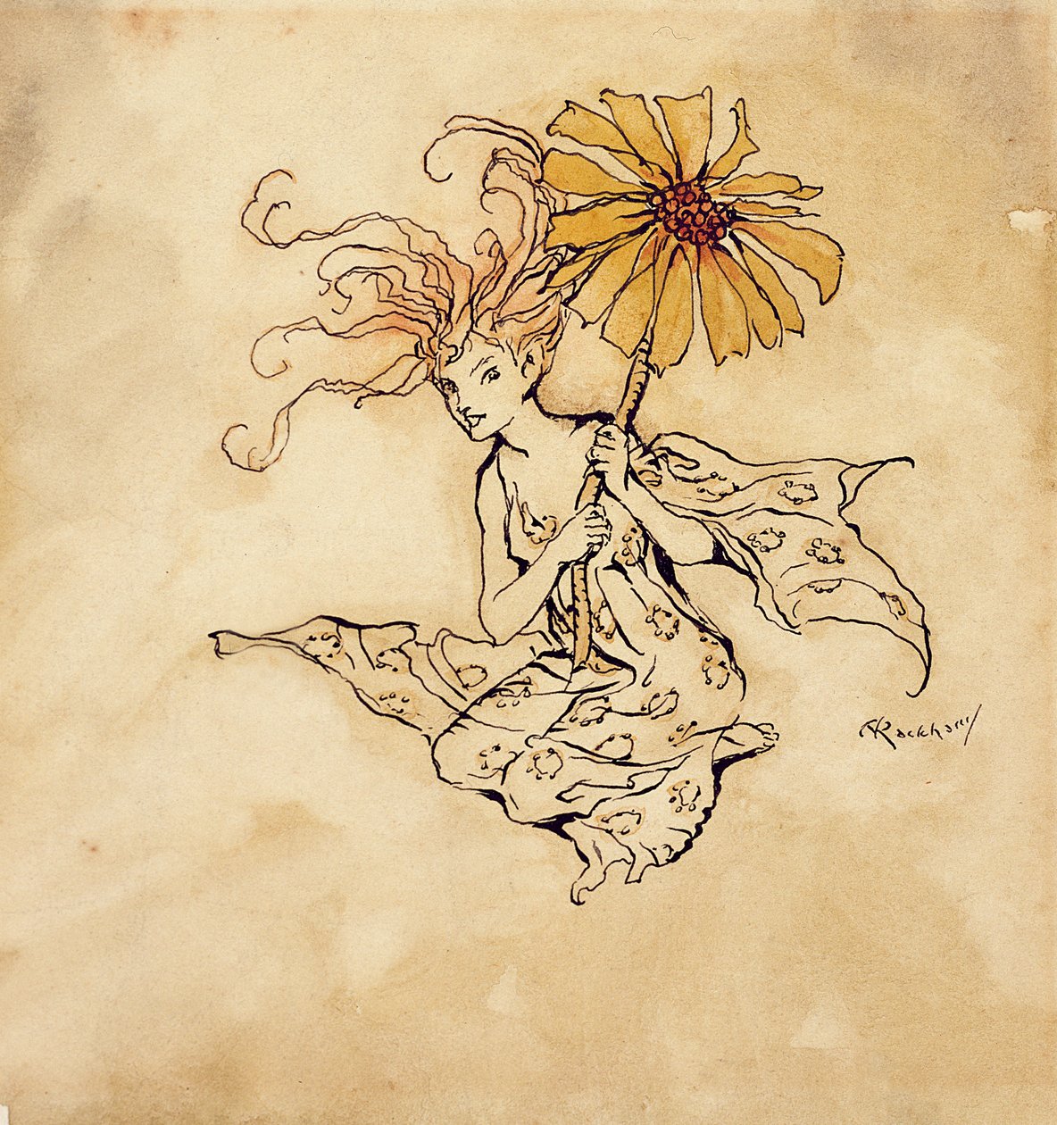 Daisy Fairy, illusztráció Peter Pantől a Kensington Gardens-ben, J. M. Barrie, megjelent 1912-ben (toll, tinta és WC papíron) alkotó: Arthur Rackham