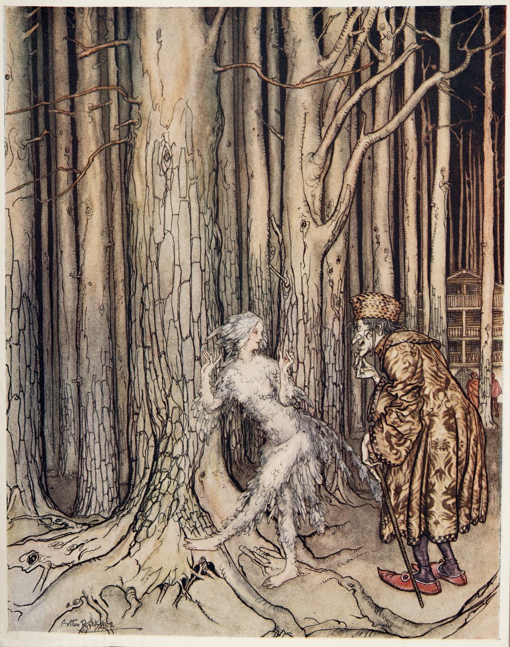 Fitchers Bird, a Little Brother & Little Sister és a Grimm testvérek egyéb meséiből, pub.1917 alkotó: Arthur Rackham