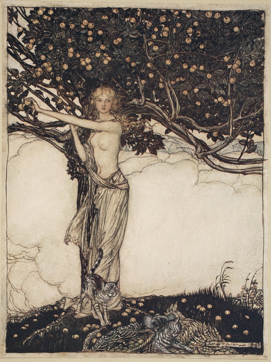 Freia, a szép, illusztráció a Rajnaarany és a Valkűrből alkotó: Arthur Rackham