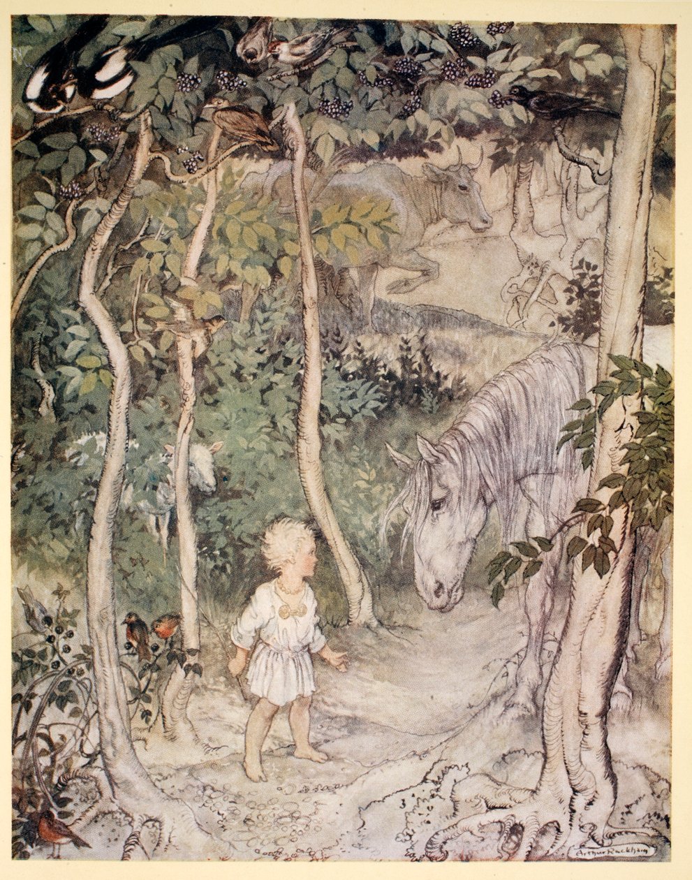 Talán azt gondolja, mint egy bámészkodó ló: "Egy fiú nem csóválhatja a farkát, hogy távol tartsa a legyeket", illusztráció James Stephens "Irish Fairy Tales" című művéből, 1920. alkotó: Arthur Rackham