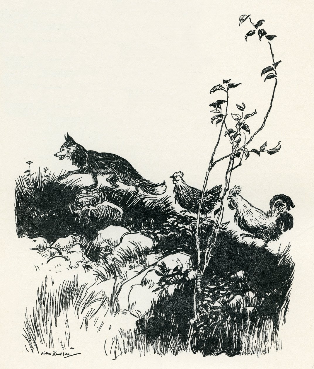 Henny-Penny alkotó: Arthur Rackham