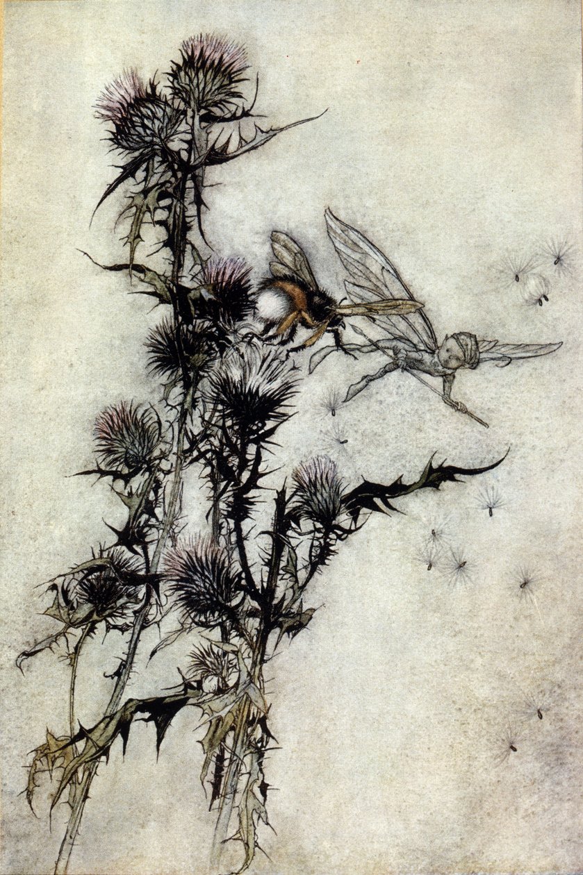 Illusztráció: Arthur RACKHAM (1867-1939) William SHAKESPEARE: Egy nyári éjszaka álmához alkotó: Arthur Rackham