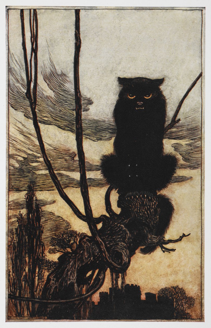 Illusztráció Jorindától és Joringeltől egy fekete macskáról. alkotó: Arthur Rackham