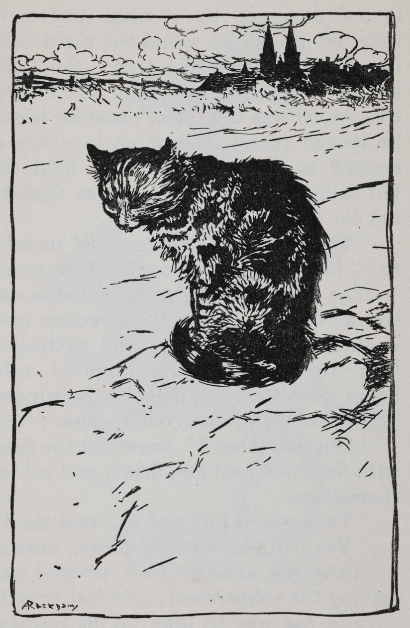 Illusztráció egy macskáról a The Bremen Town Musiciansből. alkotó: Arthur Rackham