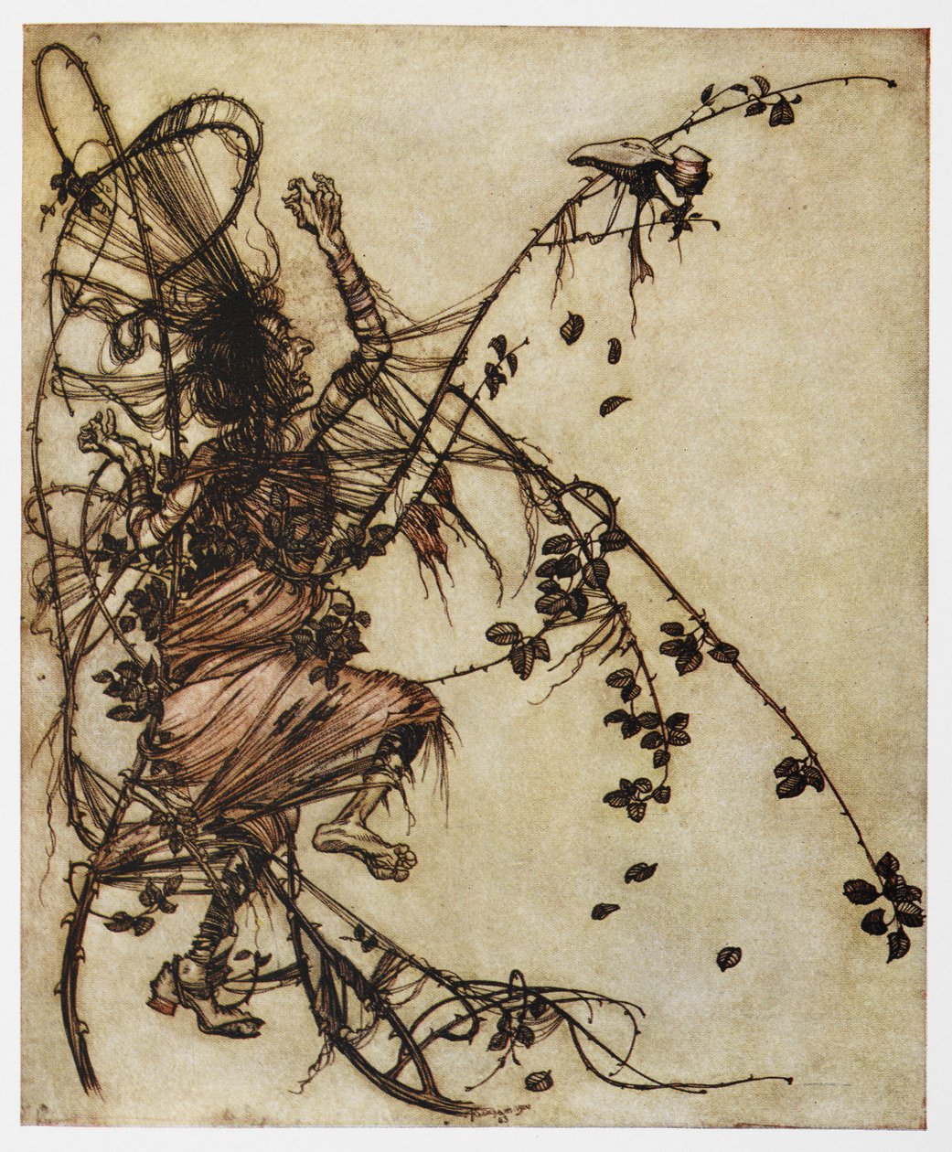 Illusztráció egy tövisbe szorult emberről, Drága Rolandtól. alkotó: Arthur Rackham