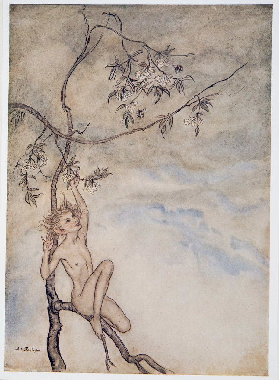 Vidáman, vígan fogok élni most az ágon lógó virág alatt, William Shakespeares illusztráció: A vihar, kocsma. 1926 alkotó: Arthur Rackham