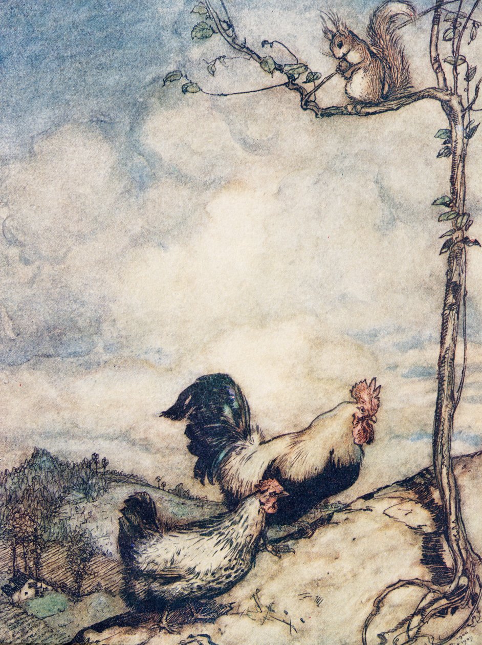 Most felmegyünk a dombra, és jól lakomázunk, mielőtt a mókus elhordja az összes diót.., A Grimm testvérek tündérmeséi, kocsma. 1909 alkotó: Arthur Rackham