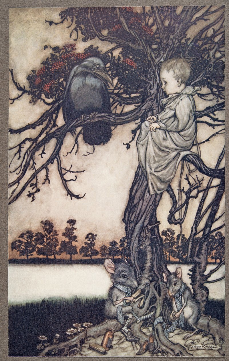 Tegye az ő furcsa esetét Old Solomon Caw elé, J. M. Barrie (1860 - 1937), kocsma, a Kensington Gardensben található Peter Pan-ből. 1906 alkotó: Arthur Rackham
