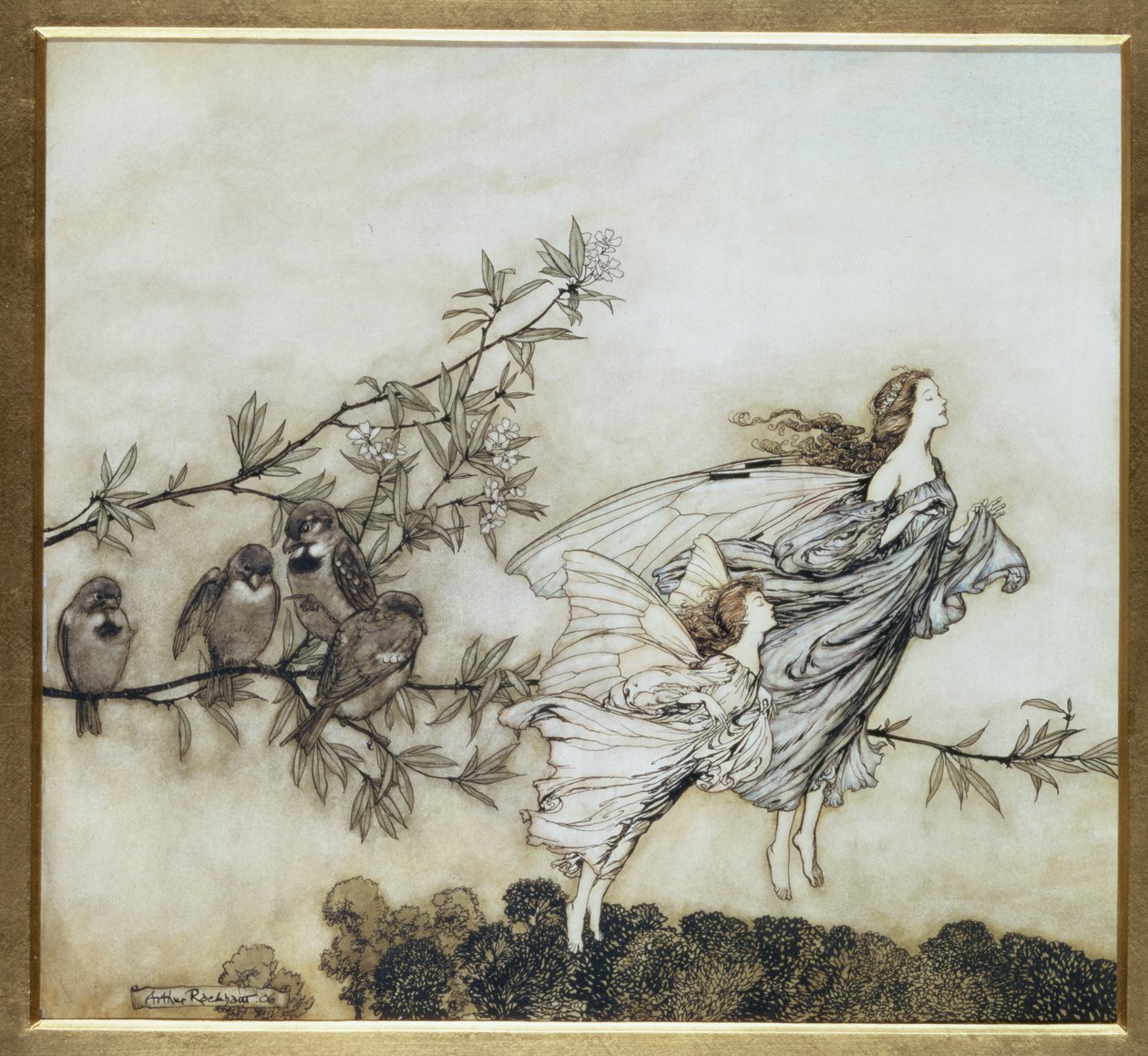 A Tündérek Tiff a madarakkal, 1906-os illusztrációja Peter Pan számára a Kensington Gardensben, J. M. Barrie, pub. 1906 (tinta és WC) alkotó: Arthur Rackham