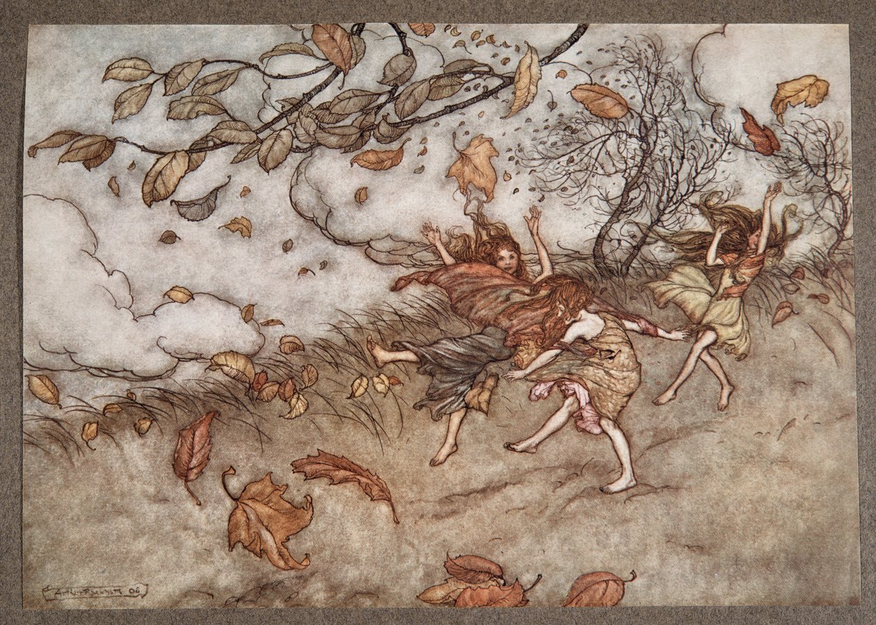 Szinte semmi sem olyan mókás érzetet kelt, mint egy lehullott levél, J. M. Barrie (1860-1937), kocsma, Peter Pan a Kensington Gardensben. 1906 alkotó: Arthur Rackham