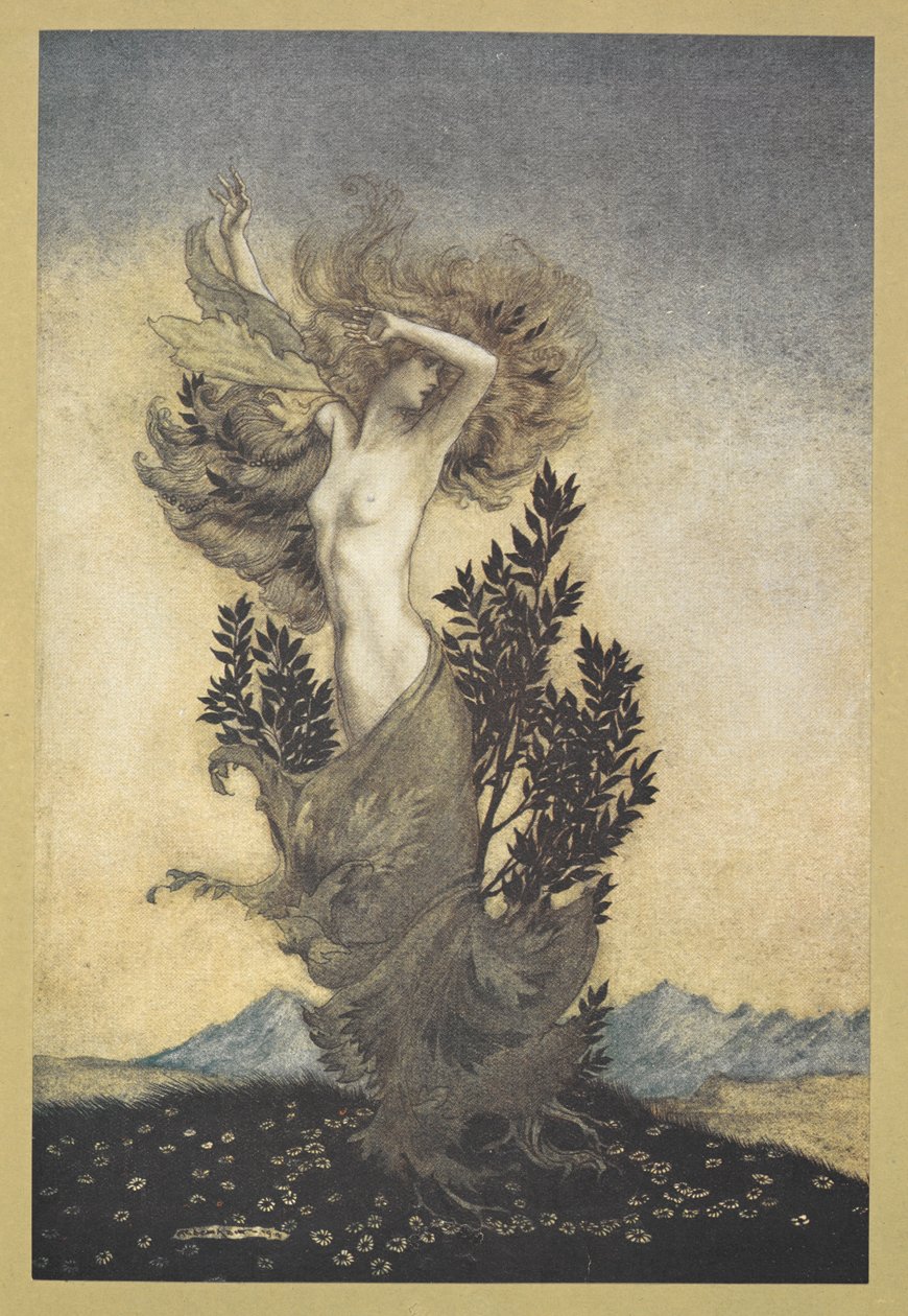 ... ahogy Daphne volt, gyökérkötözve, aki elmenekült Apolló elől. alkotó: Arthur Rackham