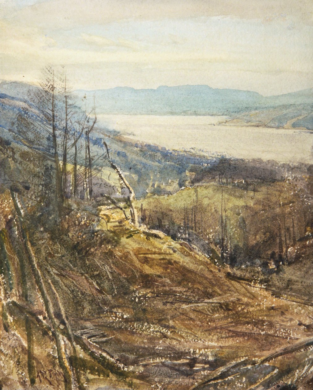 Coniston a Tarn Hows mellől (akvarell) alkotó: Arthur Reginald Smith