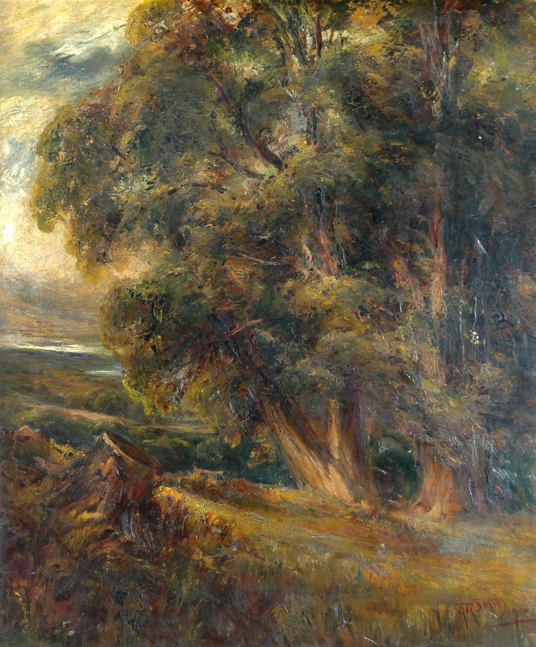 Fa tanulmány alkotó: Arthur Reginald Smith