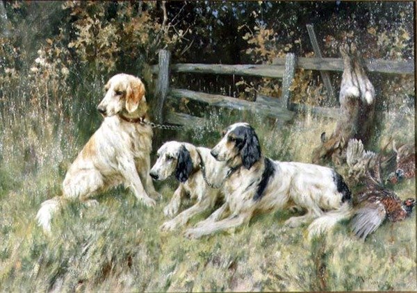 A Napi Táska által alkotó: Arthur Wardle