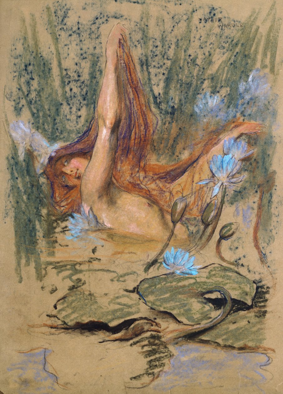 Nymphea, 1890 körül (pasztell, ceruza és akvarell papíron) alkotó: Arthur Wardle