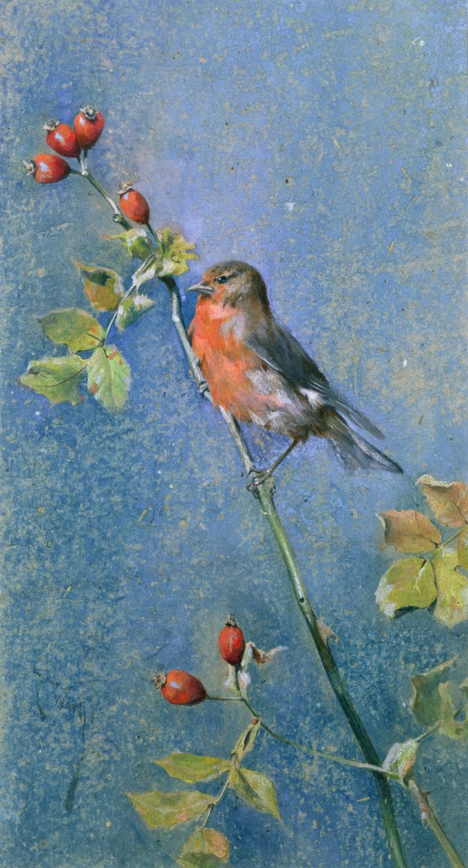 Robin egy ágon alkotó: Arthur Wardle