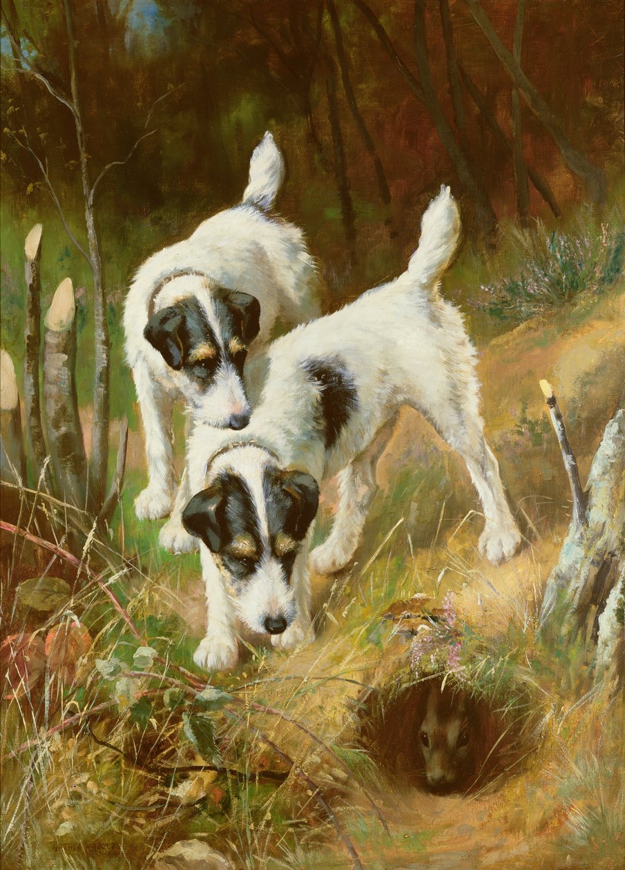 Terrierek Nyúl alkotó: Arthur Wardle