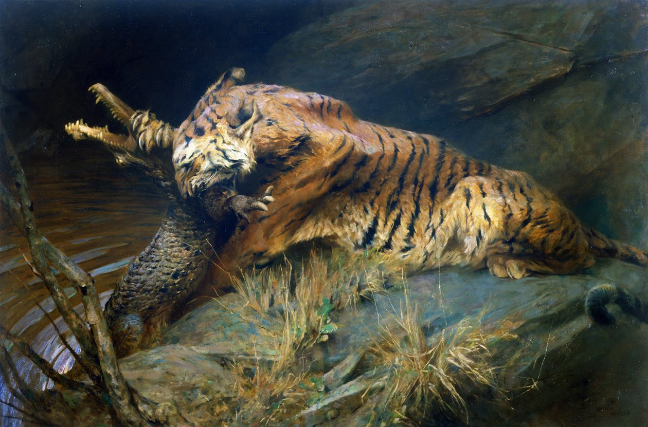 Tigris és krokodil (olaj, vászon) alkotó: Arthur Wardle
